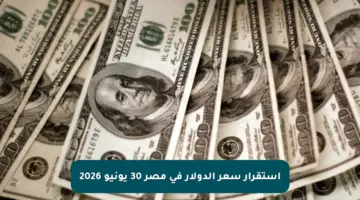 استقرار سعر الدولار في مصر 30 يونيو 2026